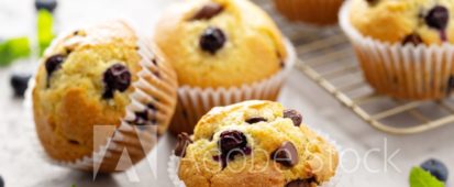 Page Hybride soeur 1 EN