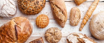 Page Hybride mère EN